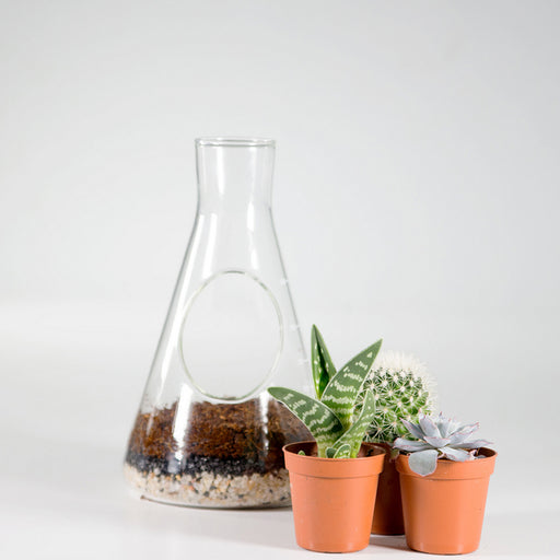 productImage-20943-laborglas-terrarium-anbauset.jpg