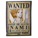 productImage-21880-one-piece-wanted-poster-4.jpg