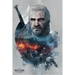 productImage-21929-the-witcher-maxi-poster-geralt.png